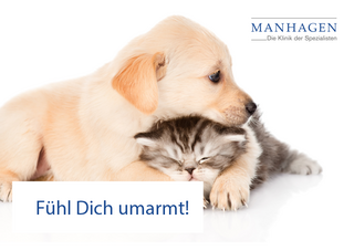 Grusskarten-Bilder_Tierbabys