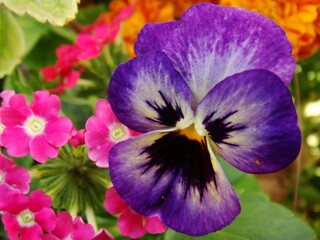nature-1024-768