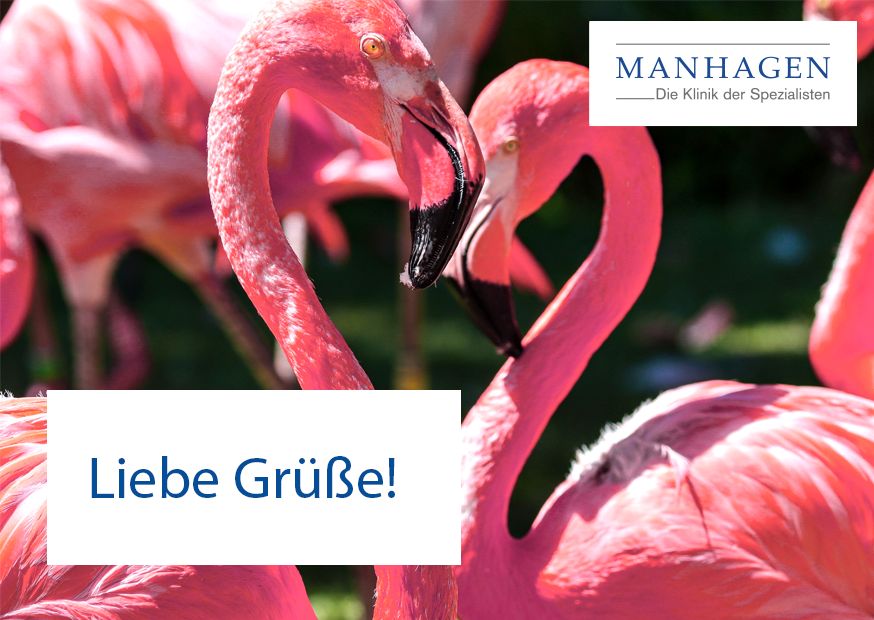 Grußkartenmotiv Flamingos