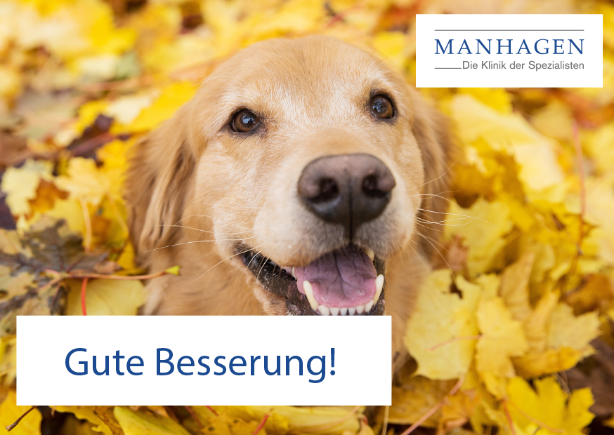 Grußkartenmotiv Hund im Herbst