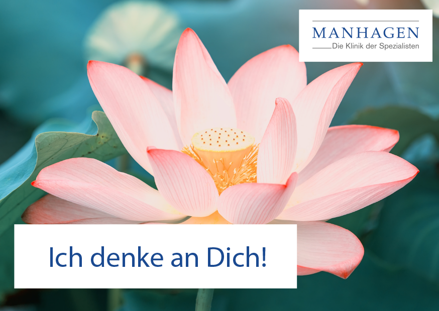 Grußkartenmotiv Seerose