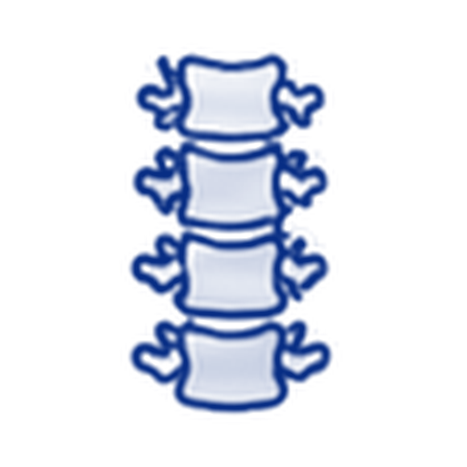 wirbelsaeule